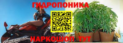 таблы Кингисепп