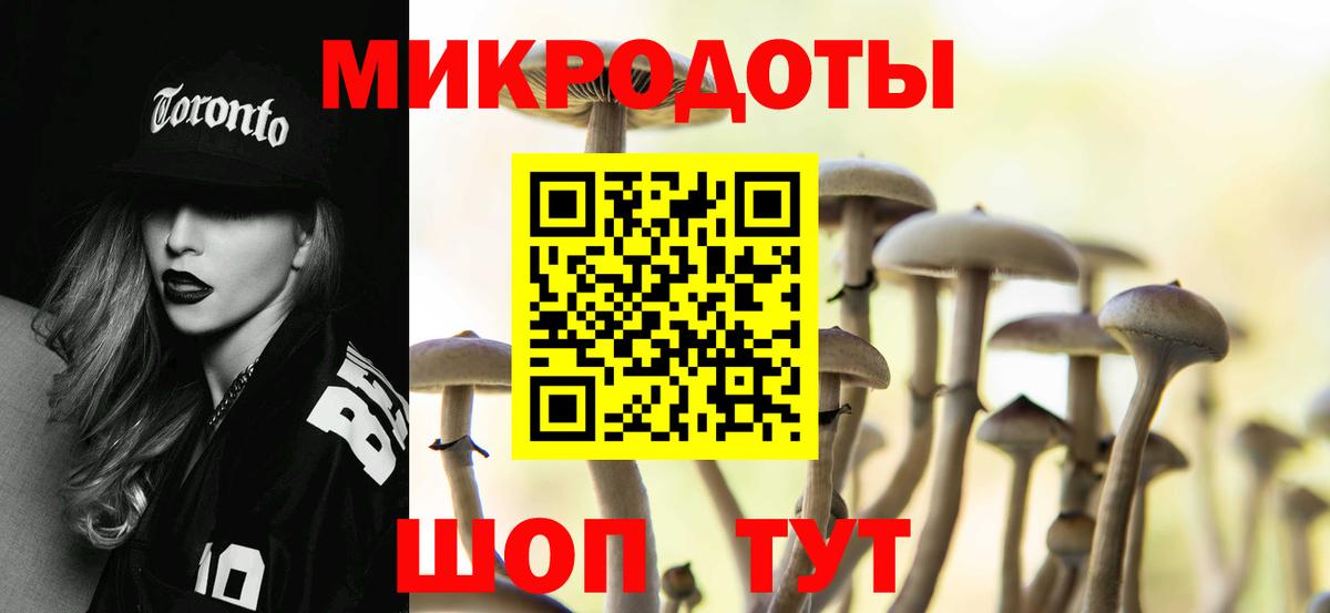 Галлюциногенные грибы MAGIC MUSHROOMS  продажа наркотиков  Томск  Вход с VPN 