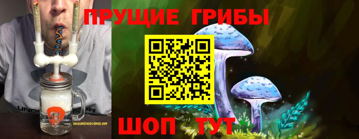 Псилоцибиновые грибы прущие грибы Томск